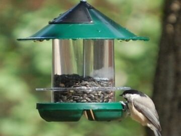Alternative view of Beck's Chickadee Feeder
