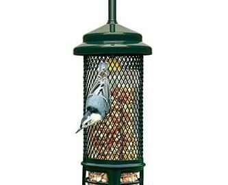 Brome Squirrel Buster Peanut