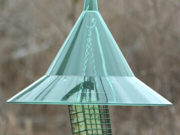 Alternative view of Arundale Squirrel-a-Way Baffle
