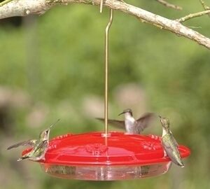 Aspects Excel HummZinger Hummingbird Feeder