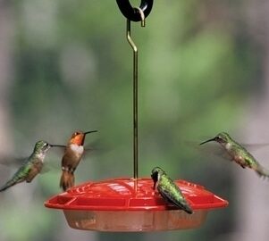 Aspects' HummZinger Ultra Hummingbird feeder