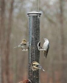 Aspects Quick-Clean Seed Tube Bird Feeder Large