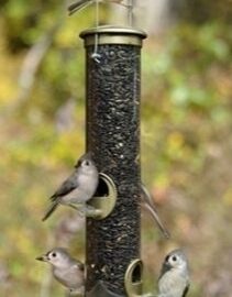 Seed Tube Bird Feeders