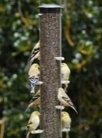 Aspect Quick-Clean Nyjer Thistle Tube Bird Feeder Large