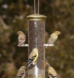 Aspect Quick-Clean Nyjer Thistle Tube Bird Feeder 'Small'