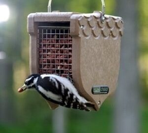 Bird's Choice Acorn Peanut Feeder w/Hanging Cable