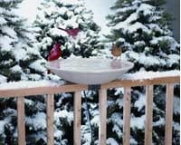 20" EZ Deck Tilt and Clean Heated Bird Bath