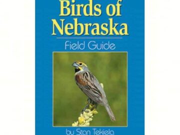 Birds of Nebraska Field Guide