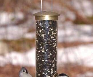 Aspects Quick-Clean Seed Tube Bird Feeder Small