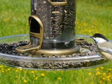 Aspects Bigfoot Seed Tray