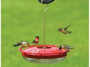Aspects HummZinger 12oz High View Hummingbird Feeder