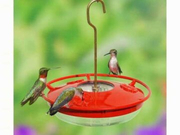 Aspects HummZinger 8oz High View Hummingbird Feeder