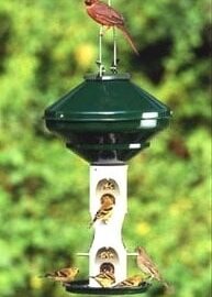 Vari-Craft Avian Series