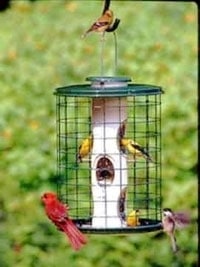 2 Quart Vari-Craft Avian Series Caged Seed Bird Feeder