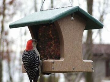 Hopper Bird Feeders