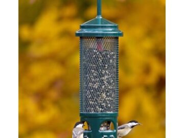 Brome Squirrel Buster Legacy