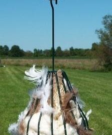 Bird House Accessories