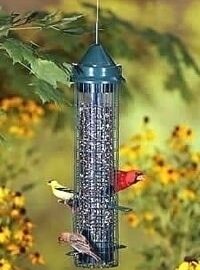 Brome Squirrel Buster Classic