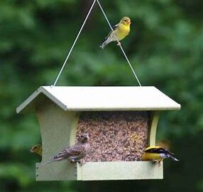 Green Solutions Hopper Feeder Medium 3 Quart