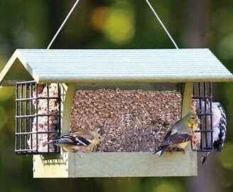 Green Solutions Hopper Feeder With Suets Medium 3 Quart