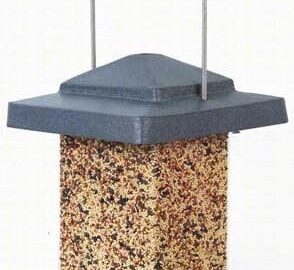 Audubon Squirrel Proof Bird Seed Vista