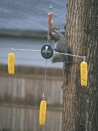 Woodlink Squirrel-Go-Round