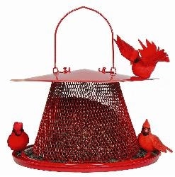 NO/NO Red Cardinal Bird Feeder