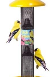 NO/NO Straight Sided Finch Bird Feeder