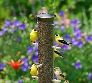 Aspect Quick-Clean Nyjer Thistle Tube Bird Feeder Medium