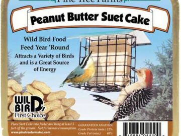 PTF Peanut Butter Suet Cake
