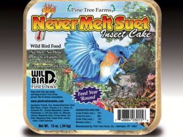 PTF Never Melt Suet Insect