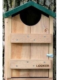 Songbird Essentials Screech Owl Box