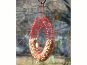 Whole Peanut Wreath Red