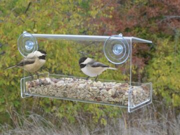 Clear View Open Diner Window Feeder