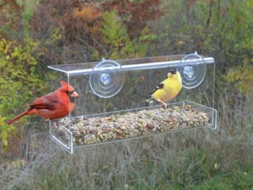 Clear View Deluxe Open Diner Window Feeder