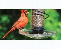 Clear Screw-On Seed Tray (Fits all Songbird Essentials BirdQuest feeders)