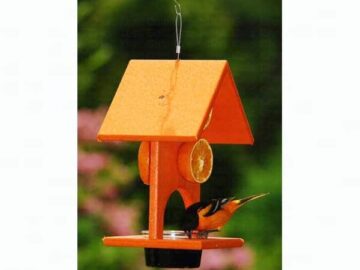 Double Oriole Fruit Feeder