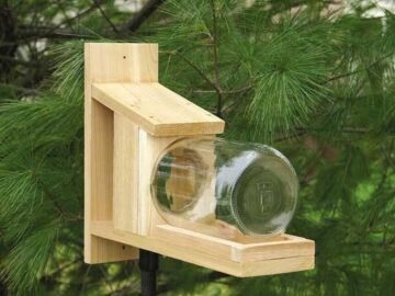 Squirrel Jar Feeder