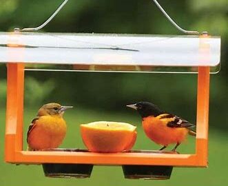 Oriole Feeders