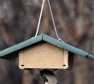 Bird's Choice Recycled Upside Down Suet Feeder