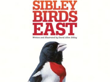 Sibley's Field Guide Eastern Birds 2nd Edition