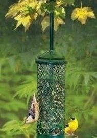 Brome Squirrel Buster Mini