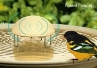 Water Wiggler Standard