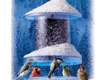 Miscellaneous Bird Feeders