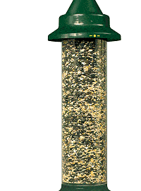 Brome Squirrel Buster Plus