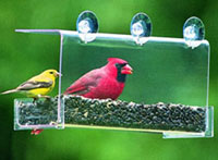 Window Bird Feeders