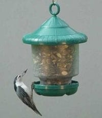 Clingers Only Feeder