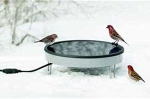 Bird Baths
