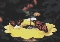 Flutterby Butterfly Feeder