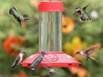 Dr. JBs 16 oz. Hummingbird Feeder